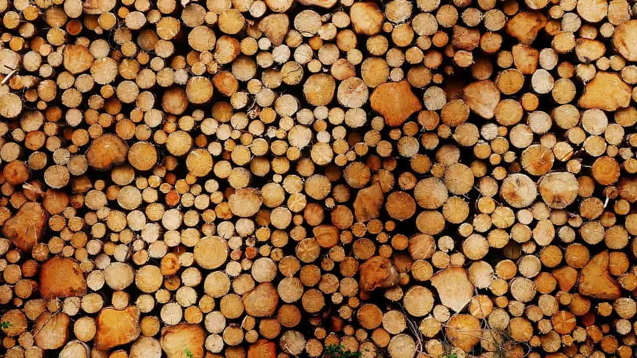 ¿Qué Es La Biomasa ¿Cuáles Son Sus Ventajas Y Desventajas